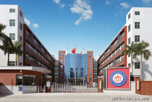 深圳國際學(xué)校陸續(xù)更名風(fēng)波,政策也要對(duì)純外籍國際學(xué)校 出手了