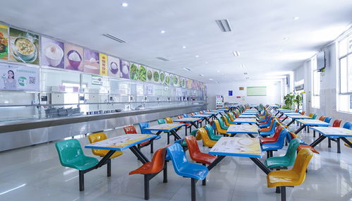 湖南理工職業(yè)技術(shù)學(xué)院有哪些專業(yè) 湖南理工職業(yè)技術(shù)學(xué)院到底有哪些專業(yè)