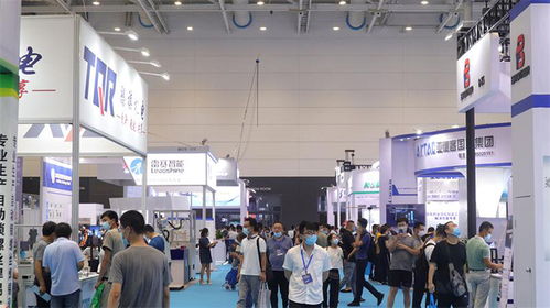 環渤海灣包裝產業一體化 青島包裝展與國際化教育的新機遇