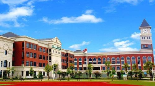 金山龍信御瀾天樾 火遍上海的高端生活新標桿，國際學校配套成亮點