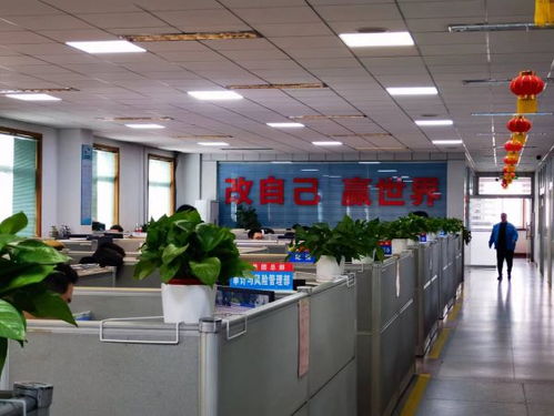 南陽中光廠學校正式納入南陽市第十七小學教育集團，邁向國際化教育新篇章