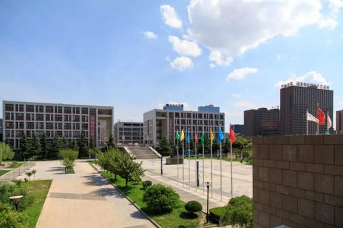 陜西國際商貿學院董事長趙超及師生代表參與省十六運火炬傳遞，彰顯國際學校風采