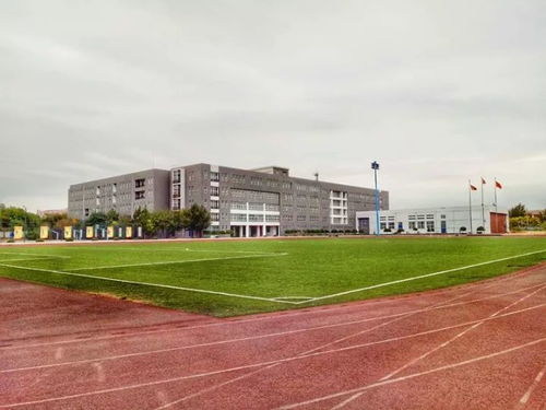 河北蒼龍國際學校精選 寒假春節季是家庭教育好時機，這6大關鍵你知道嗎？